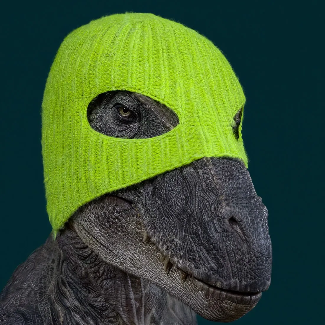 DinoWifMask