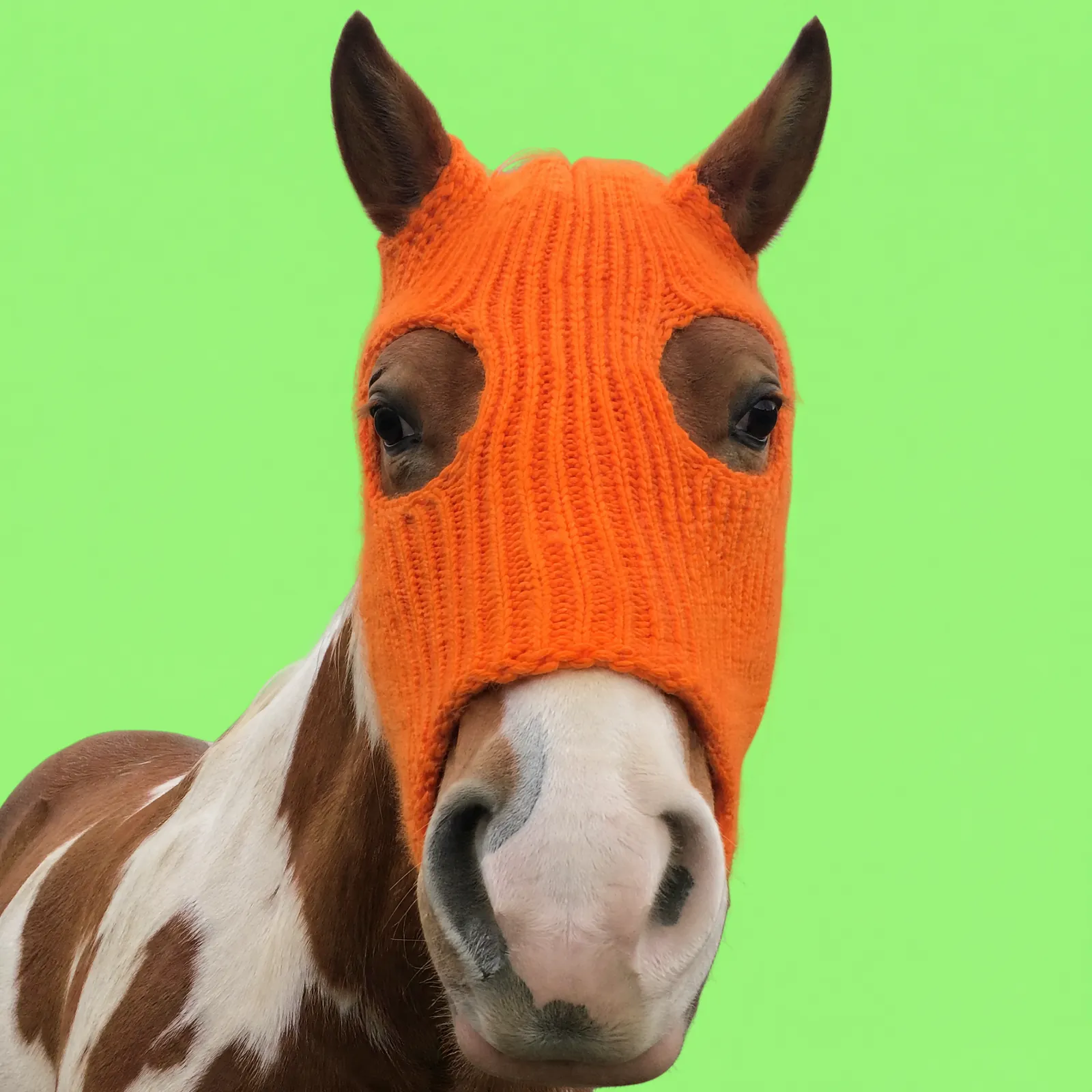 HorseWifMask