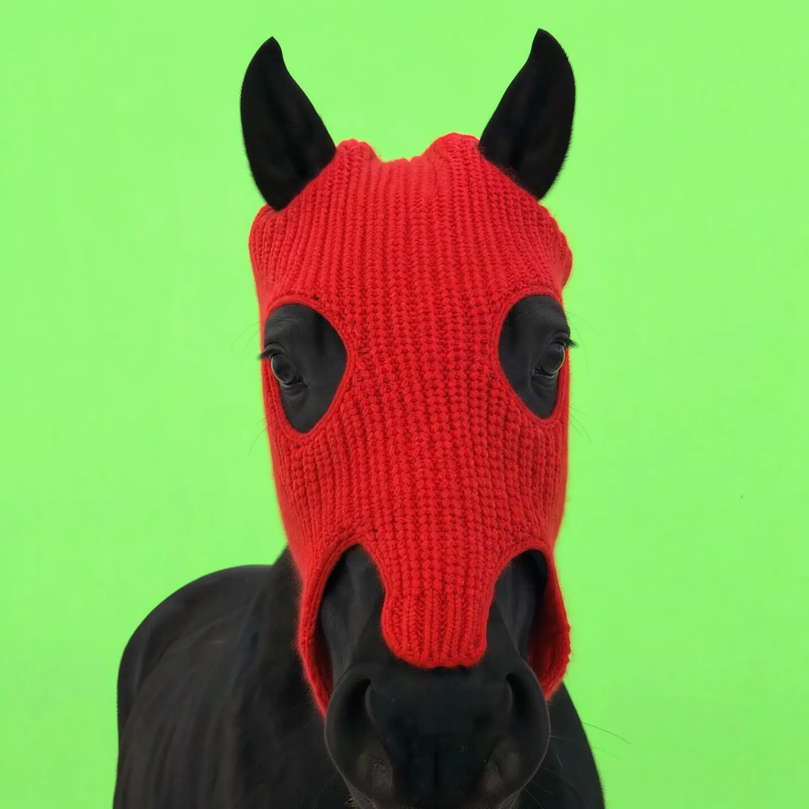 HorseWifMask