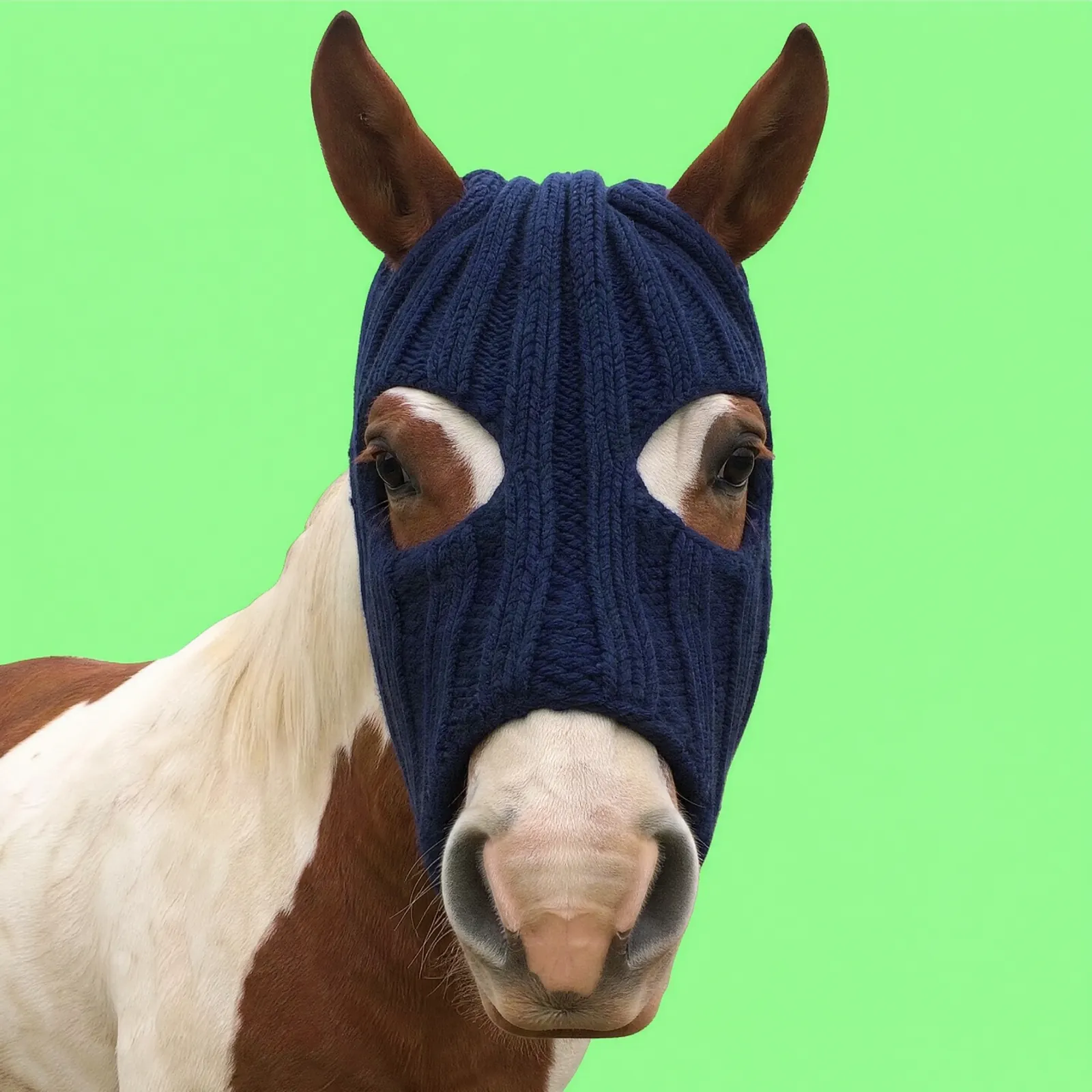 HorseWifMask