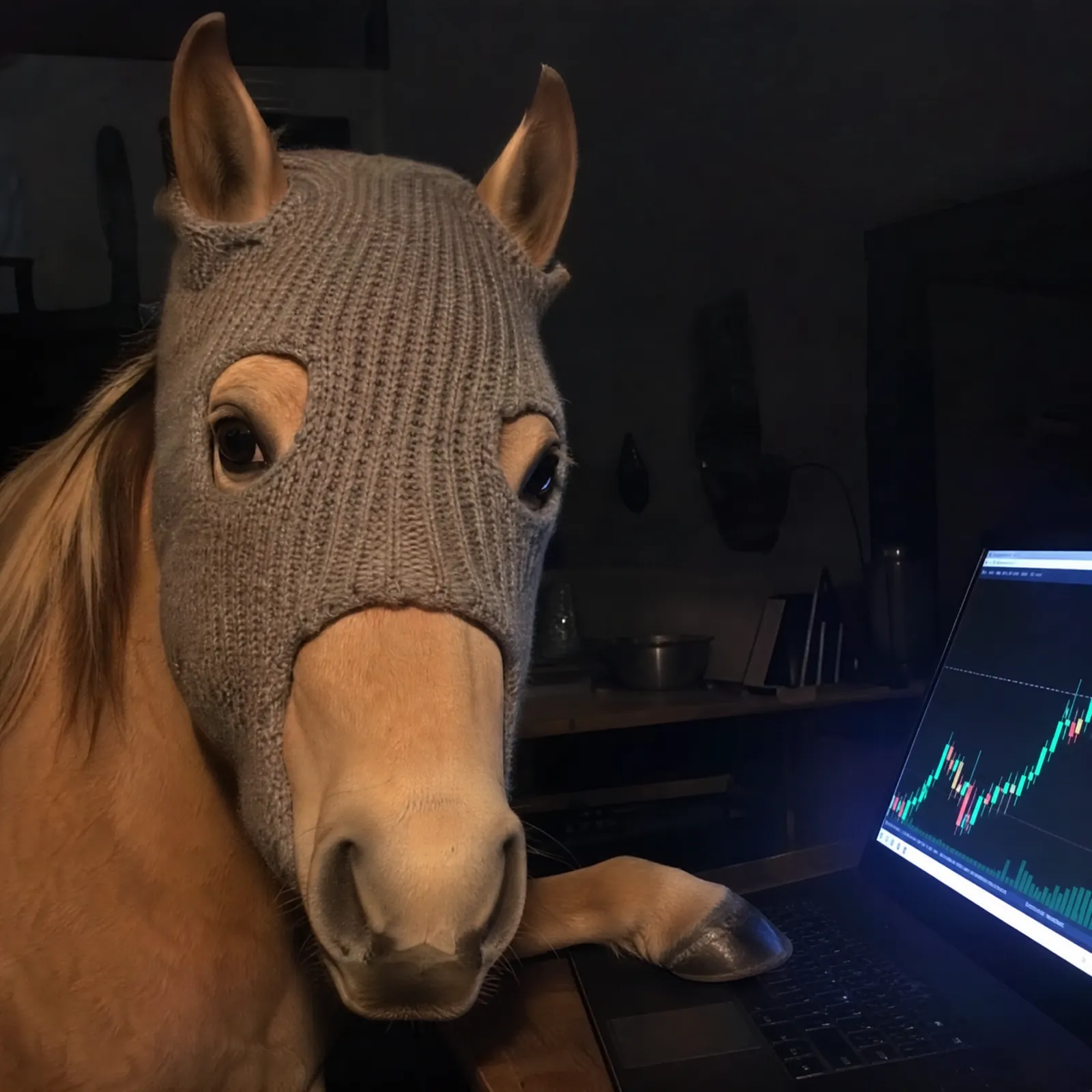 HorseWifMask