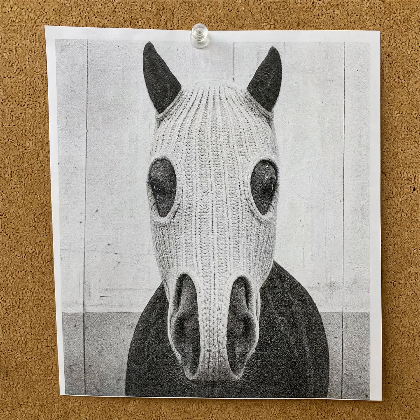 HorseWifMask