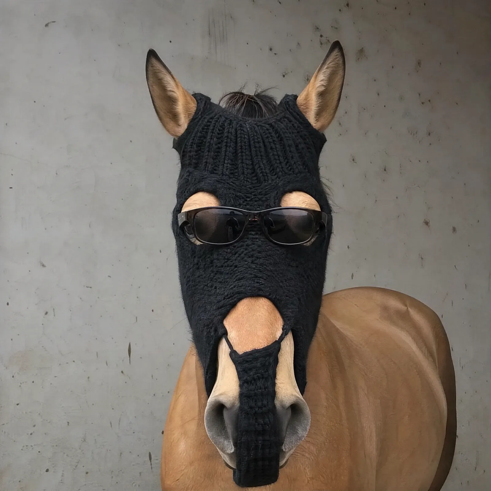 HorseWifMask