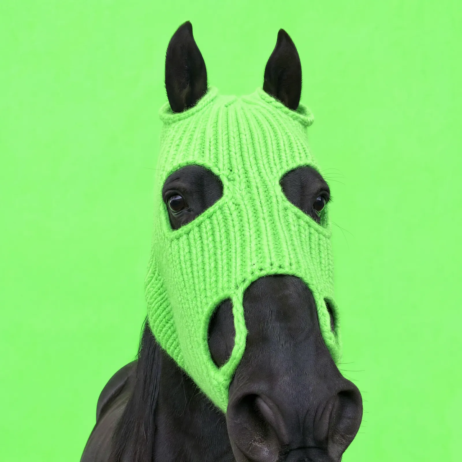 HorseWifMask