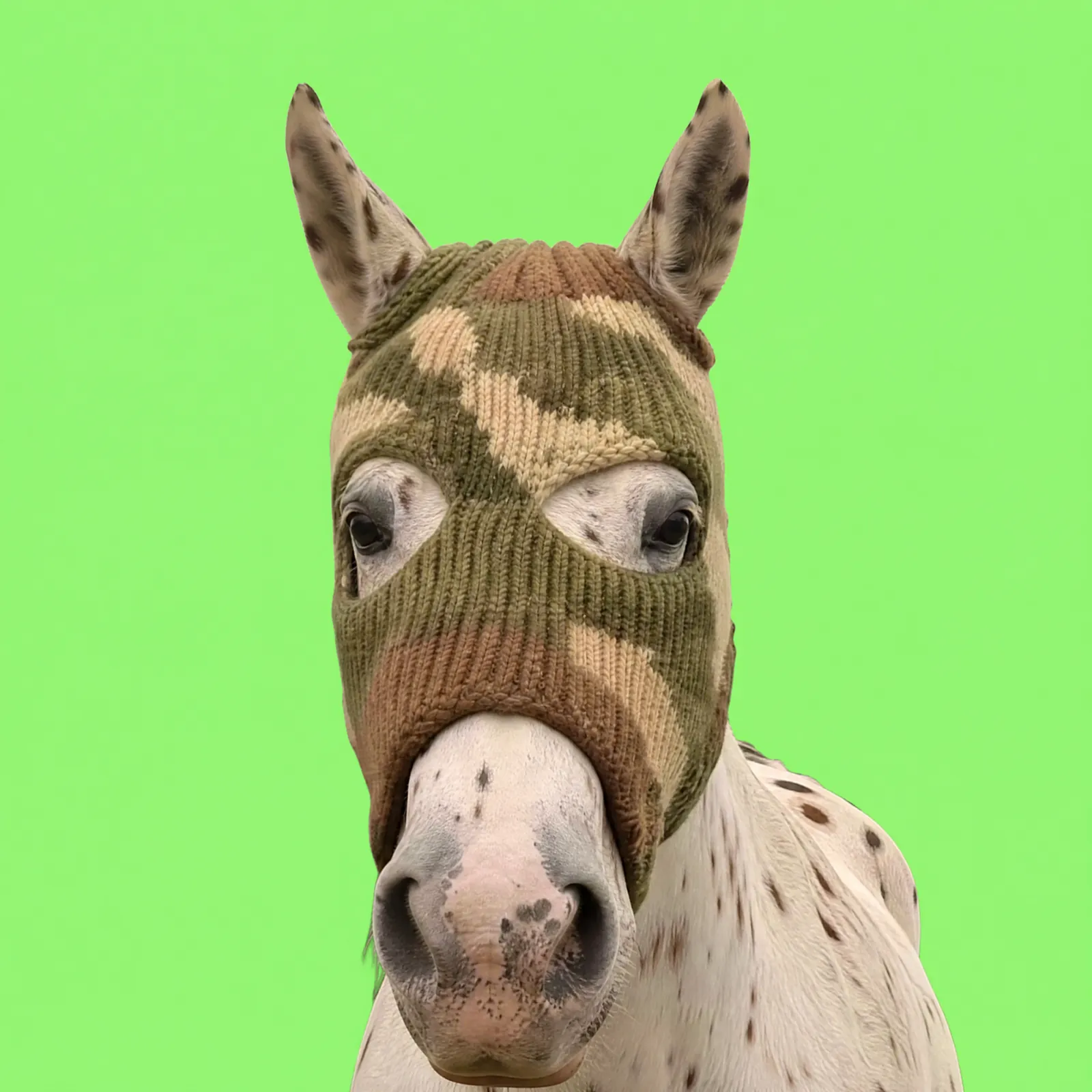 HorseWifMask