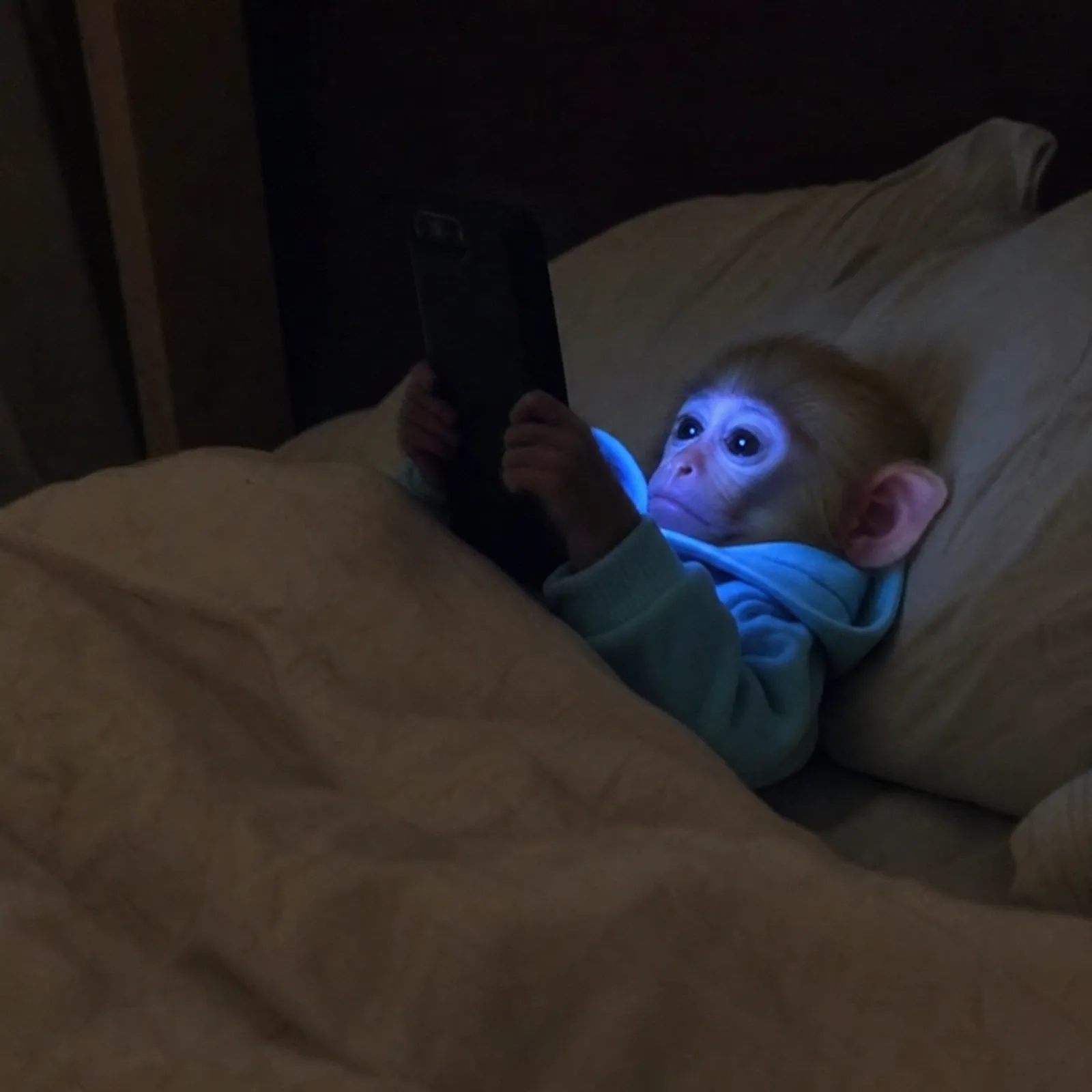 monke