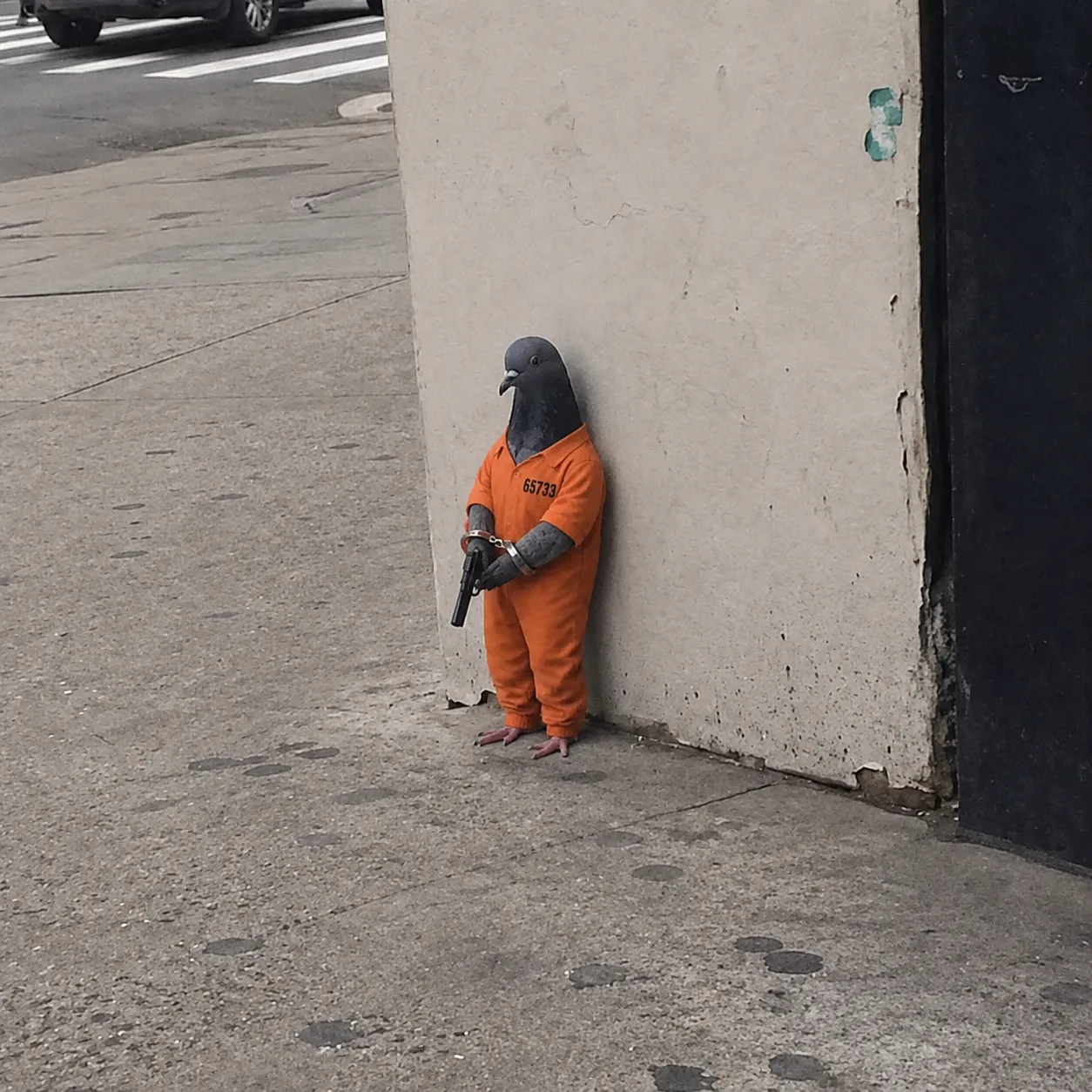 PIGEON