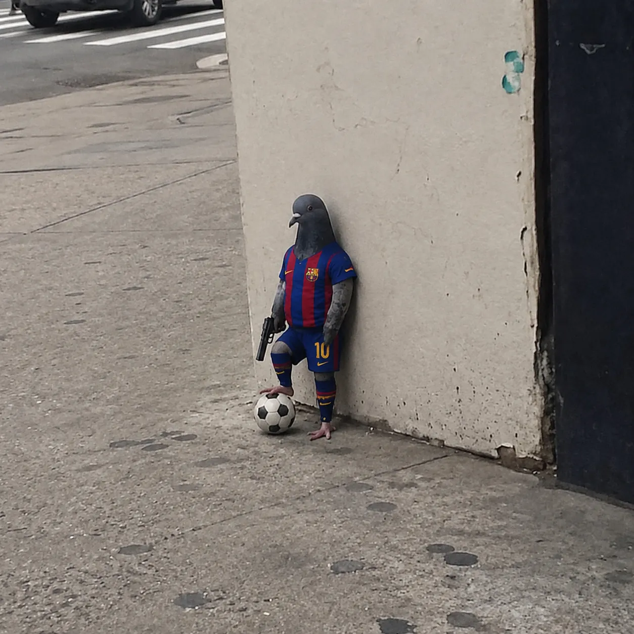 PIGEON