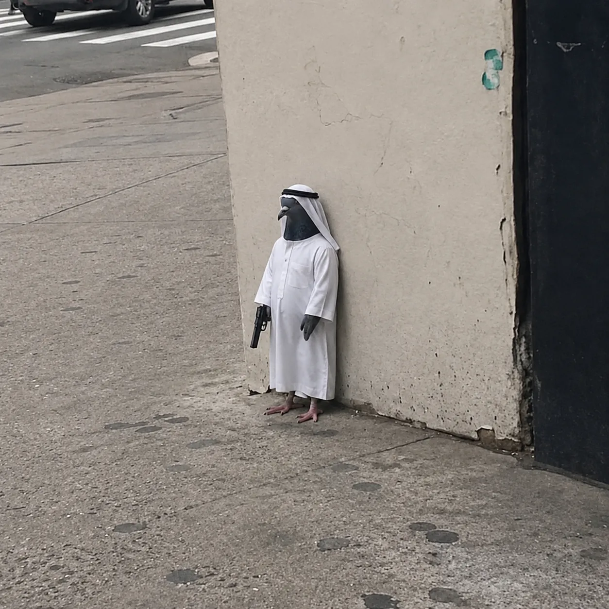 PIGEON