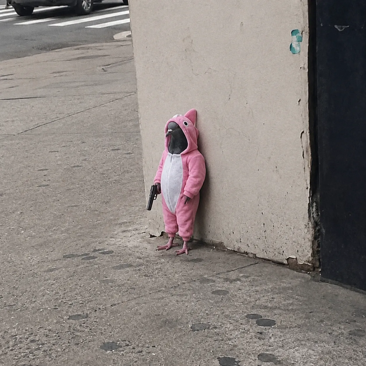 PIGEON