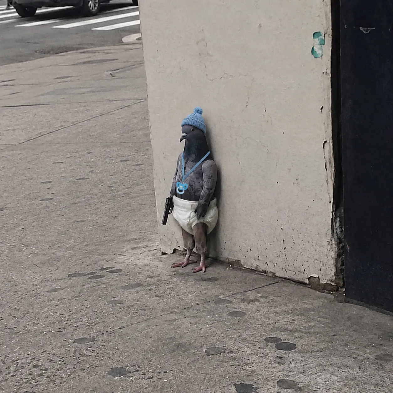 PIGEON